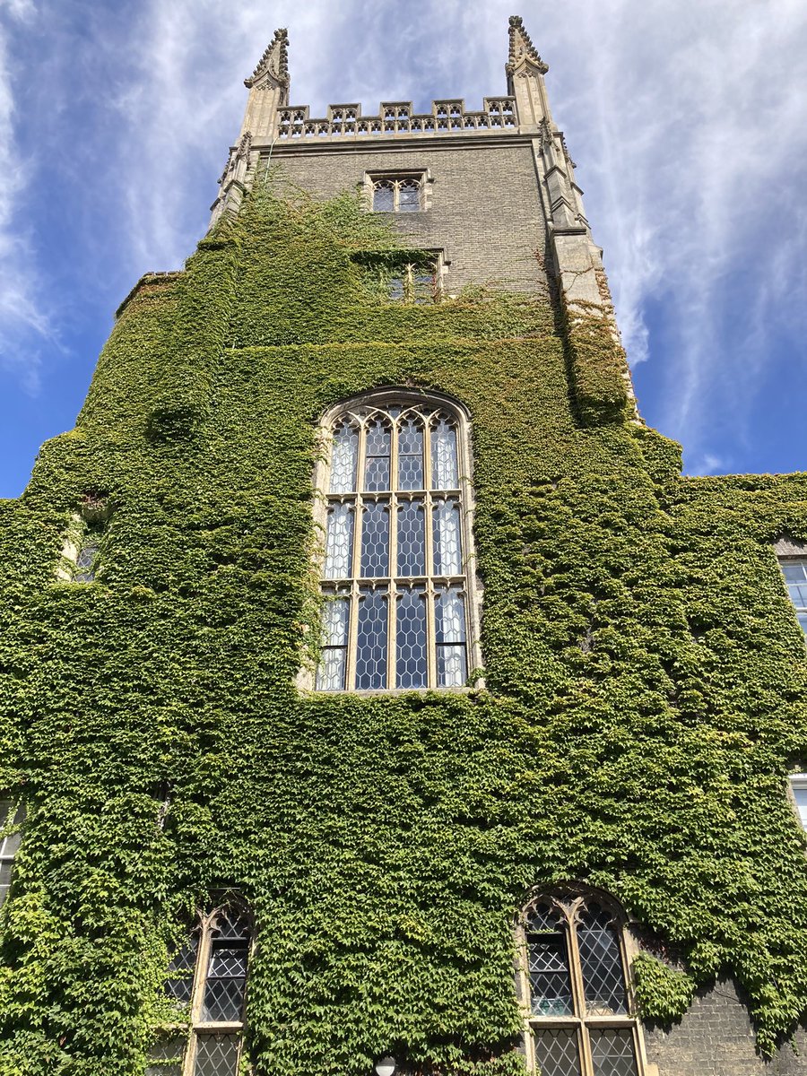 Sandy De Born tweet media