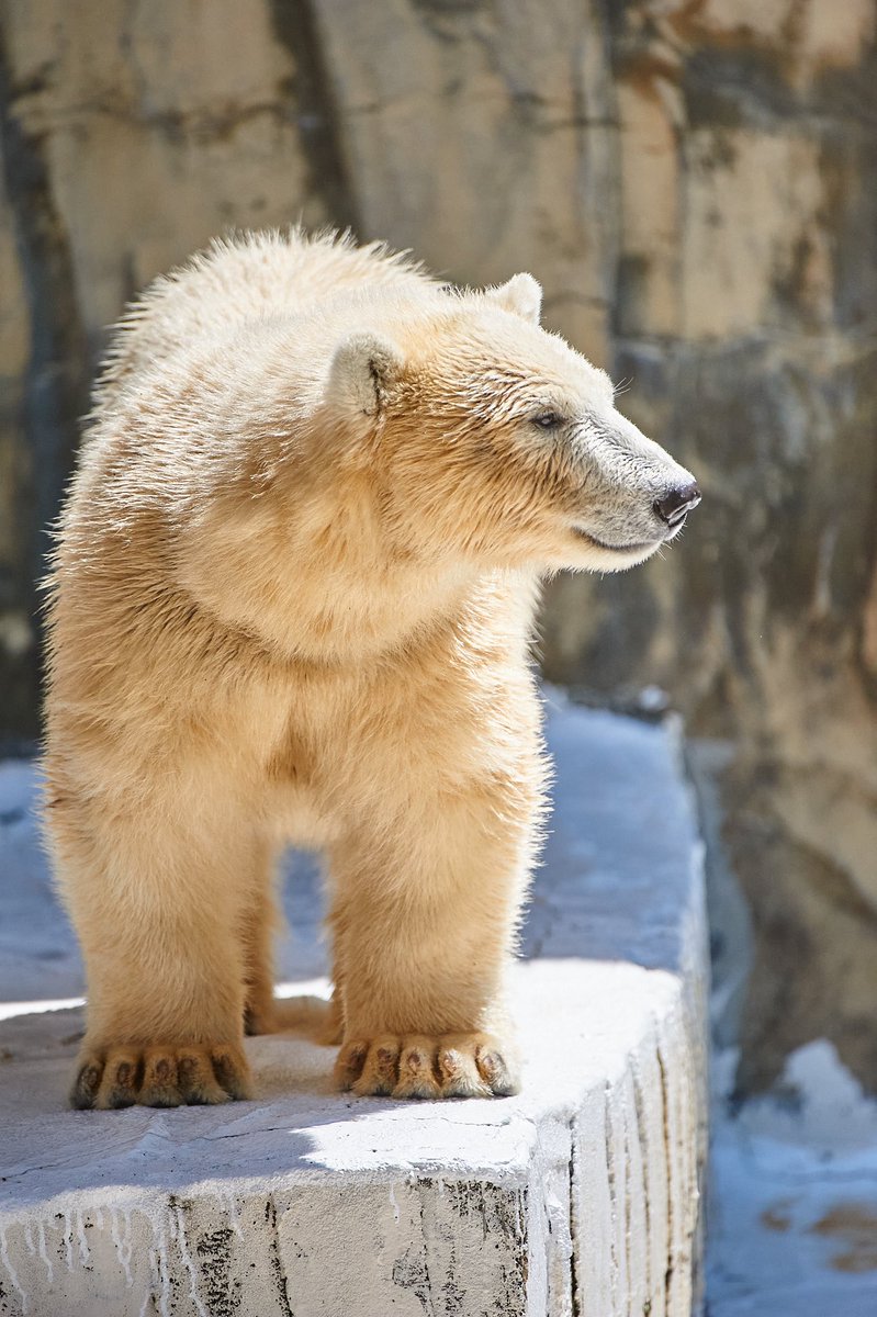 Tyson Blätter tweet media