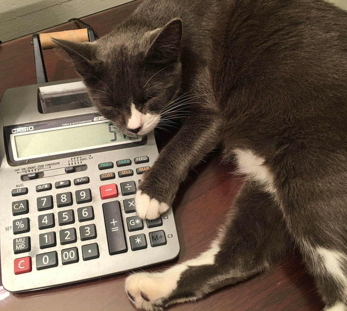 sunwaves_token's tweet photo. 🧮 Calculating my $SW mining rewards… 

Every tap counts! 🚀 https://t.co/kvZEs09Hu2