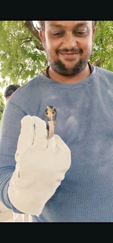 #cobra snake rescue jay bhole rescue team mansa call-9974756420 (24×7)
🚩🚩🚩🚩🚩🚩🚩