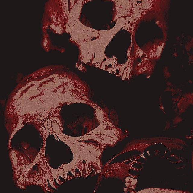 —— 𝓐𝐄𝐋𝐈𝐔𝐒. (@vaecoridiam) on Twitter photo 