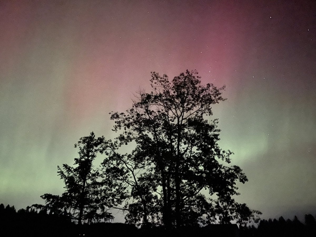 John Manuwal tweet media