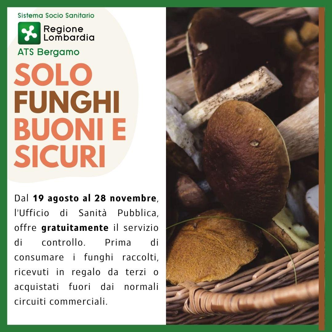 ATS_BERGAMO's tweet image. Dal 19 agosto, e per tutta la stagione di maggior crescita e raccolta dei #funghi, riprende il servizio gratuito dell' Ispettorato Micologico di #ATSBergamo che assicura il servizio di #controllo e riconoscimento delle specie fungine.🍄
 
Prenota subito 👉 bit.ly/PRENOTAZIONE_M…