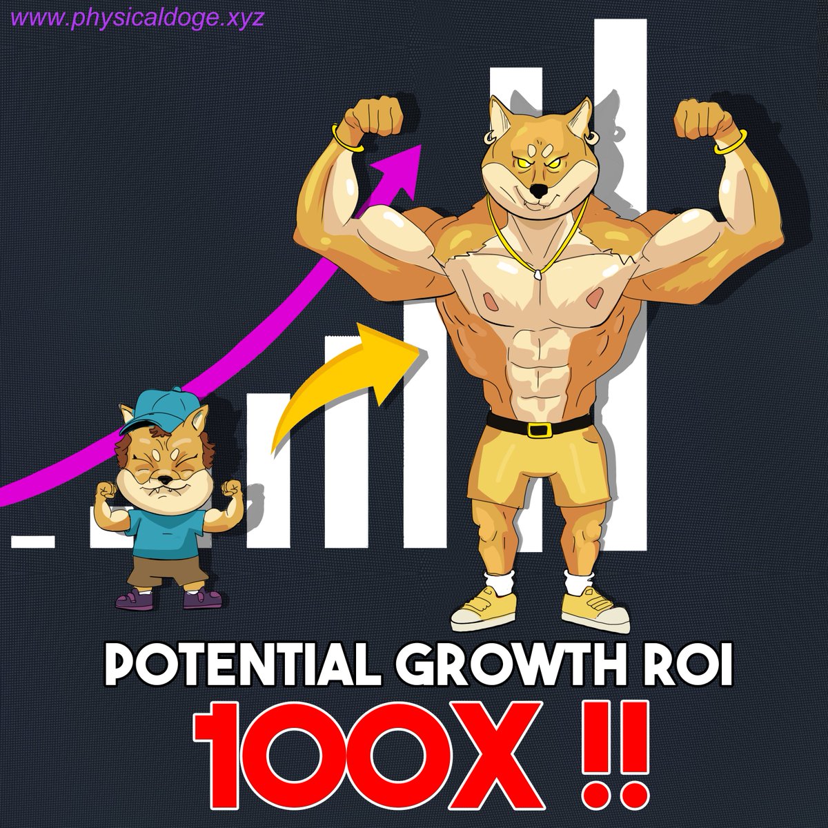 physicaldoge tweet media