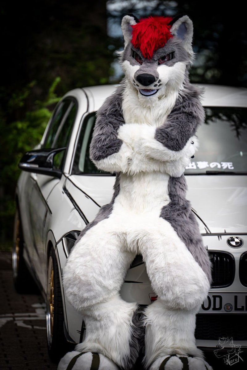 Just sitting on my car! Go away!

📸<a href="/fur_nerox/">Nerox</a> 
🪡<a href="/spacealienfox/">furr.club</a> 
<a href="/sachsenfurs/">Sachsen Furs e.V.</a> 
#EAST12 #FursuitEverday #furry #motorfurs