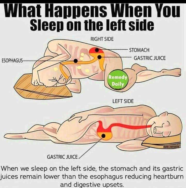 Interesting STEM (@interestingstem) on Twitter photo 