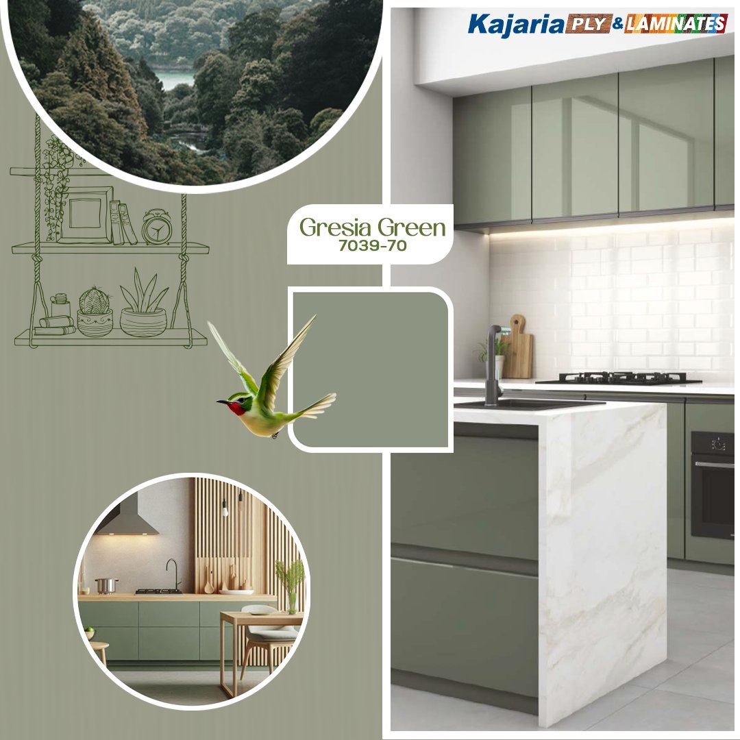 KajariaPLY and Laminates tweet media