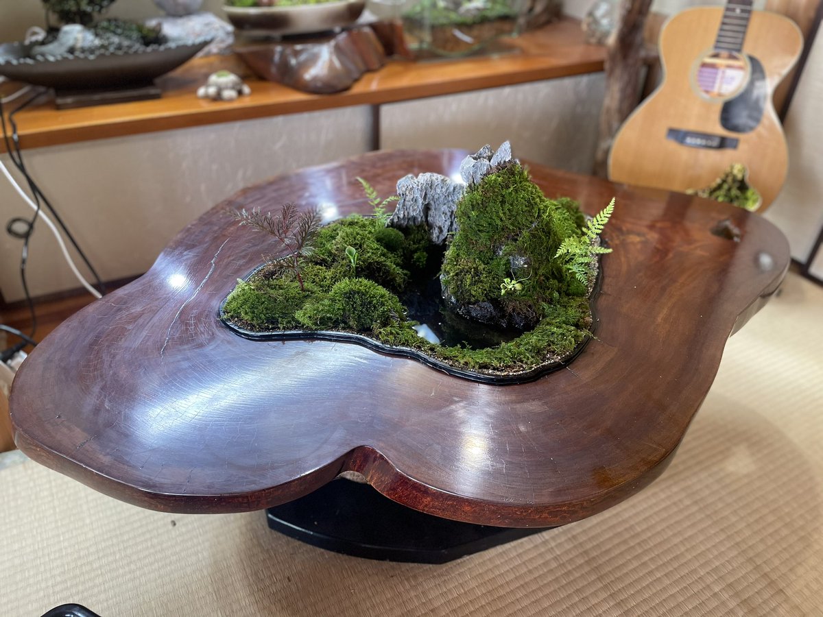 inubouz_P's tweet photo. 9月6日〜9月16日まで
高島屋米子店で苔アート展を開催
苔アートの展示と販売
チラシの日程でワークショップもやります。
是非足をお運びください。
#苔アート展 
#苔アート 
#苔アーティスト小竹規弘 
#高島屋米子店 https://t.co/olVDQZtswI