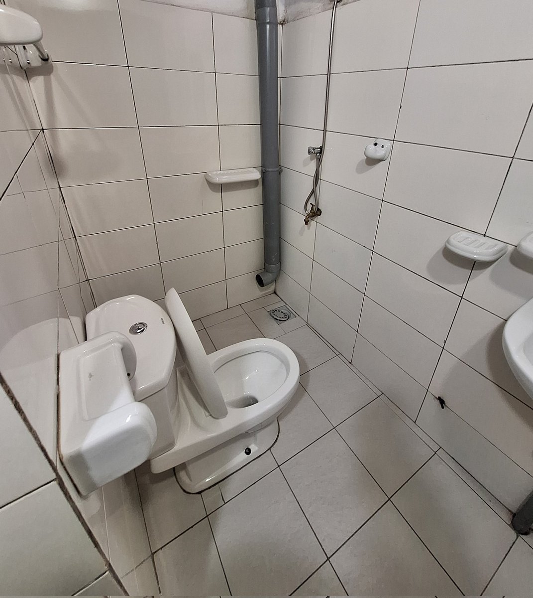 Gloglo Glotus tweet media