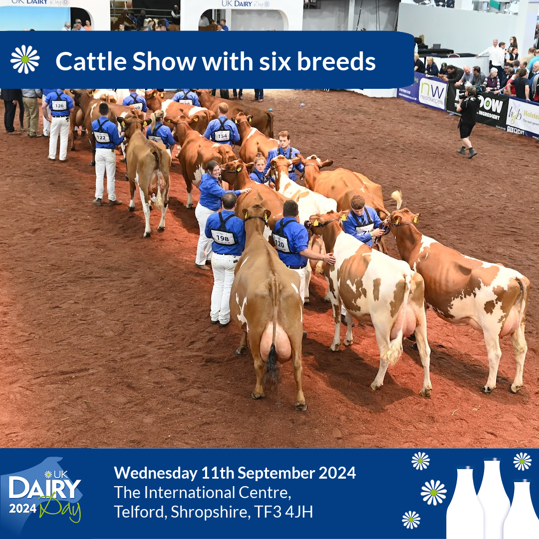 UKDairyDay's tweet image. Two weeks to go until UK Dairy Day at Telford on Wednesday 11th September!  

Top 5 reasons to visit.

1. Over 280 trade stands
2. Cattle Show 
3. Industry panels and seminars
4. Practical Demonstrations 
5. Industry in one place 

ukdairyday.co.uk

#UKDairyDay