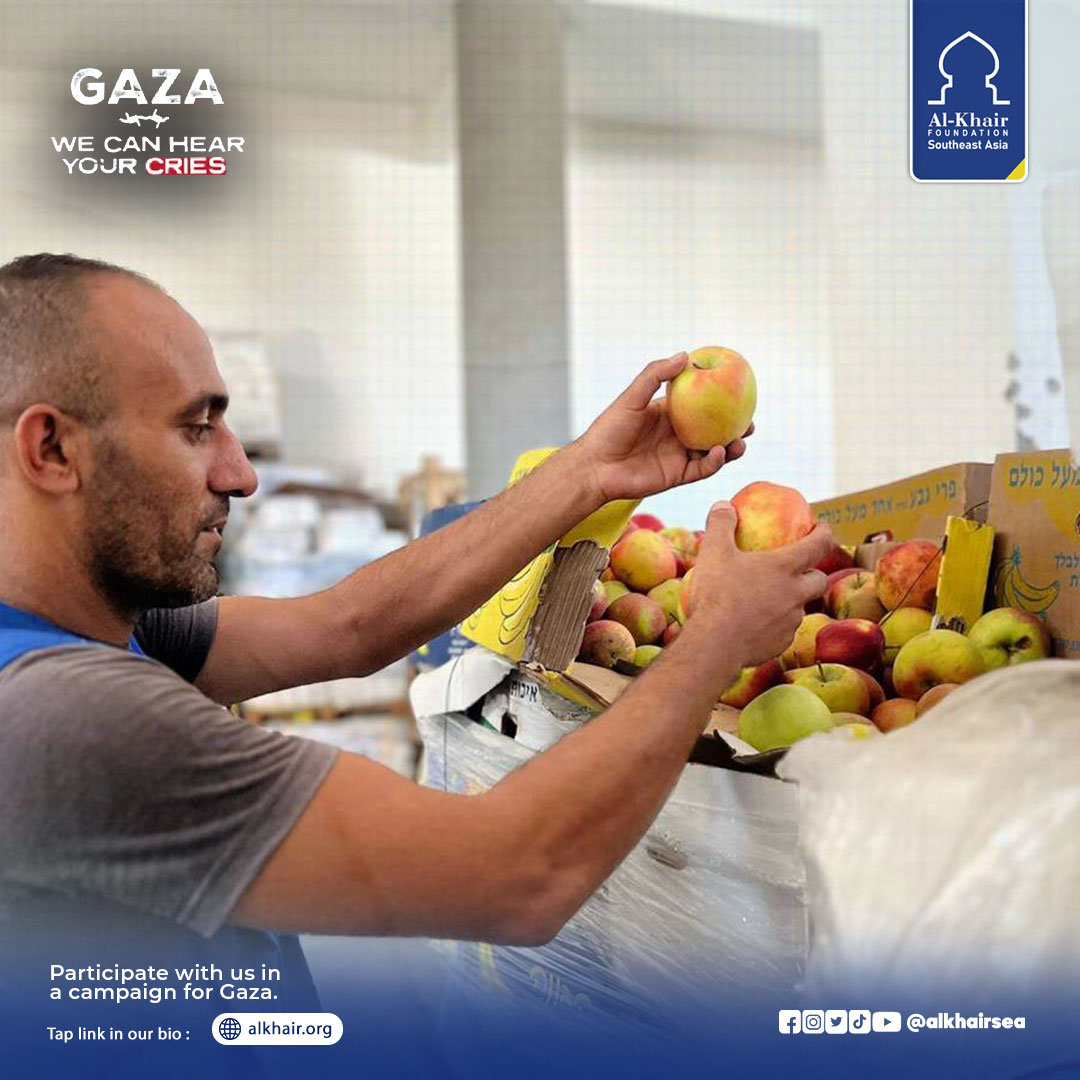 alkhairsea's tweet photo. Thanks to your support, an 18-ton truck of vegetables and fruits provided Al-Khair Foundation for the benefit of the displaced and needy in the northern Gaza Strip.
#Gaza #AlkhairFoundation #Palestine #basichumanright #humanright #women #muslim #Gaza https://t.co/ZpoKwlQLvc