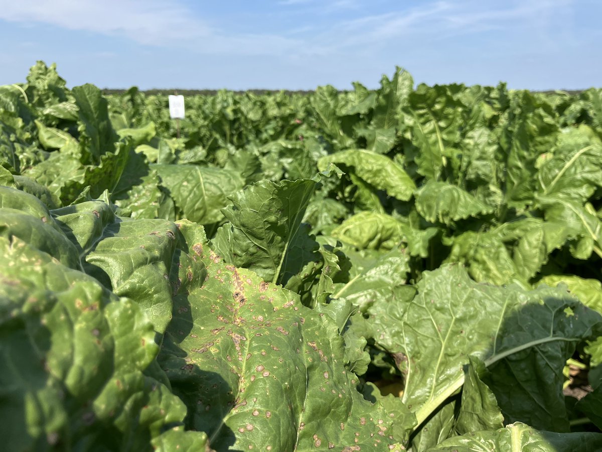 Sander Uwland tweet media