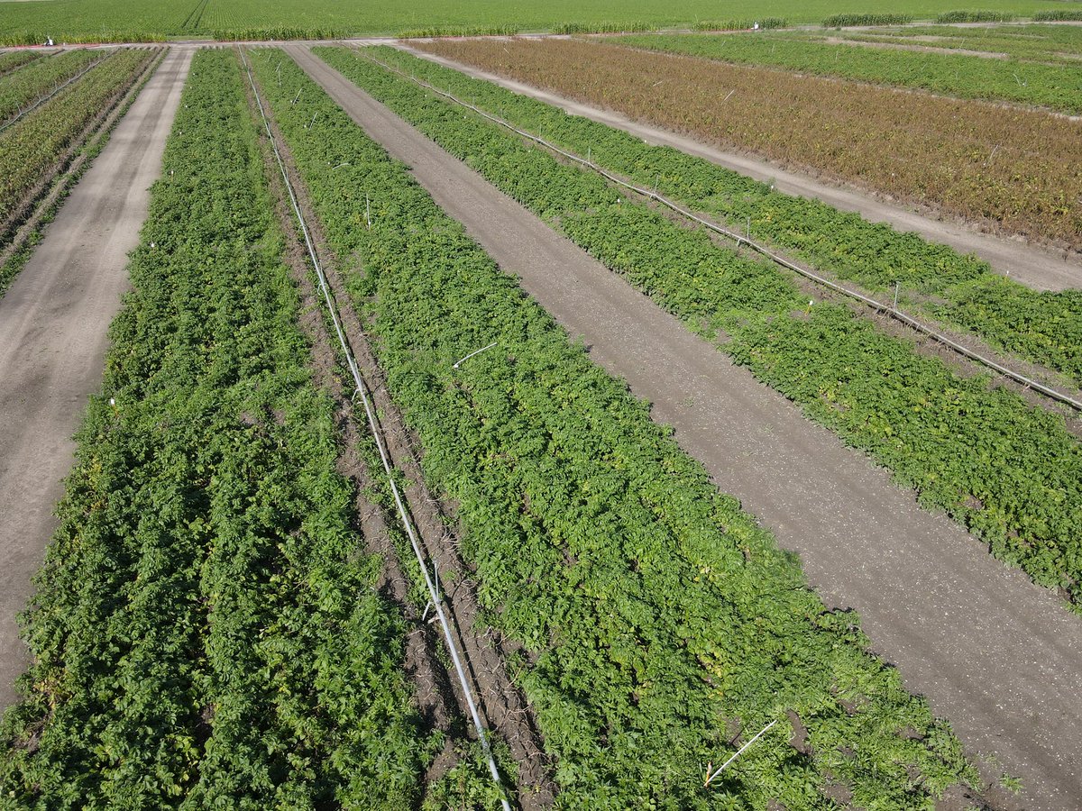 Sander Uwland tweet media