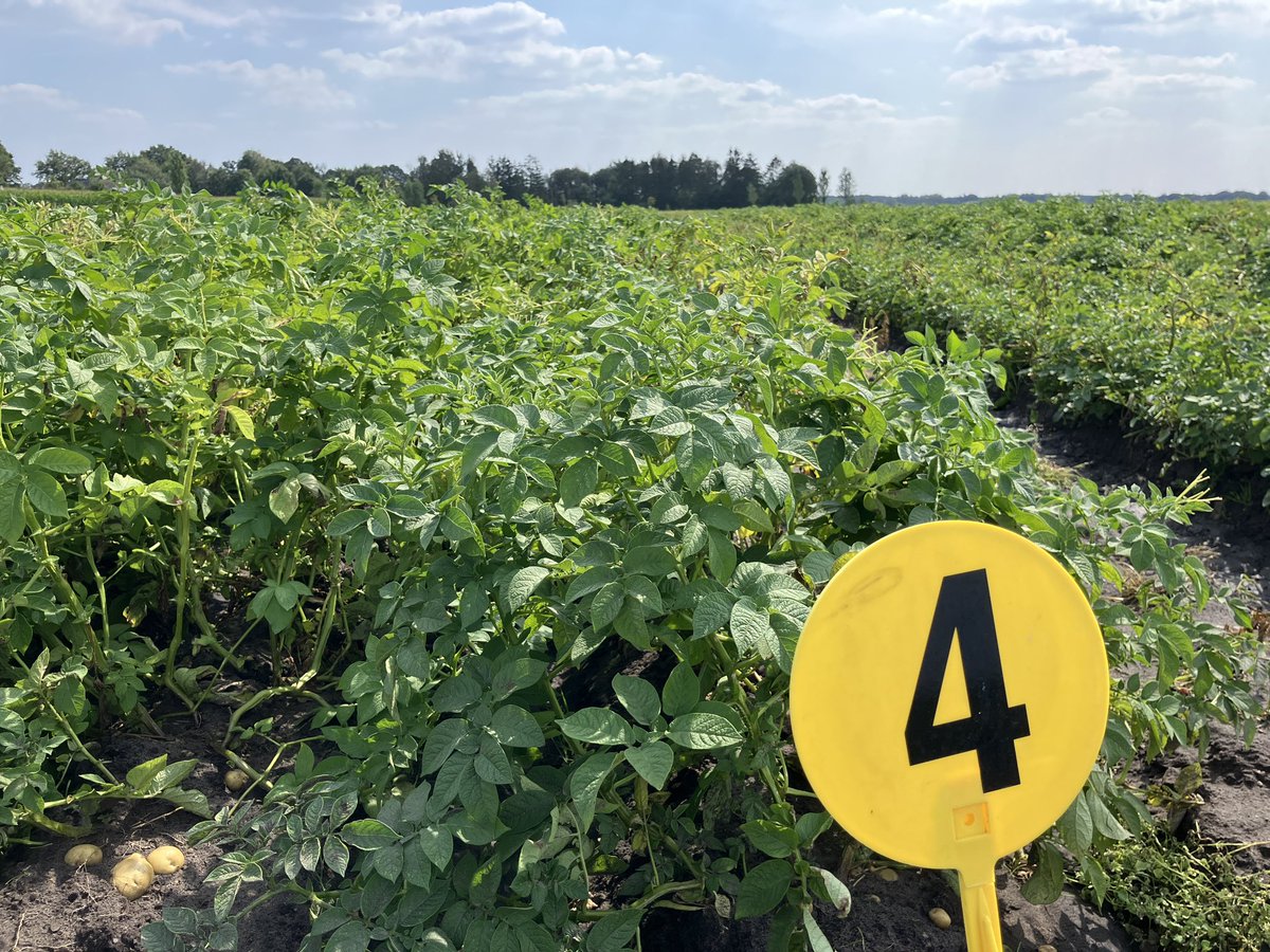 Sander Uwland tweet media