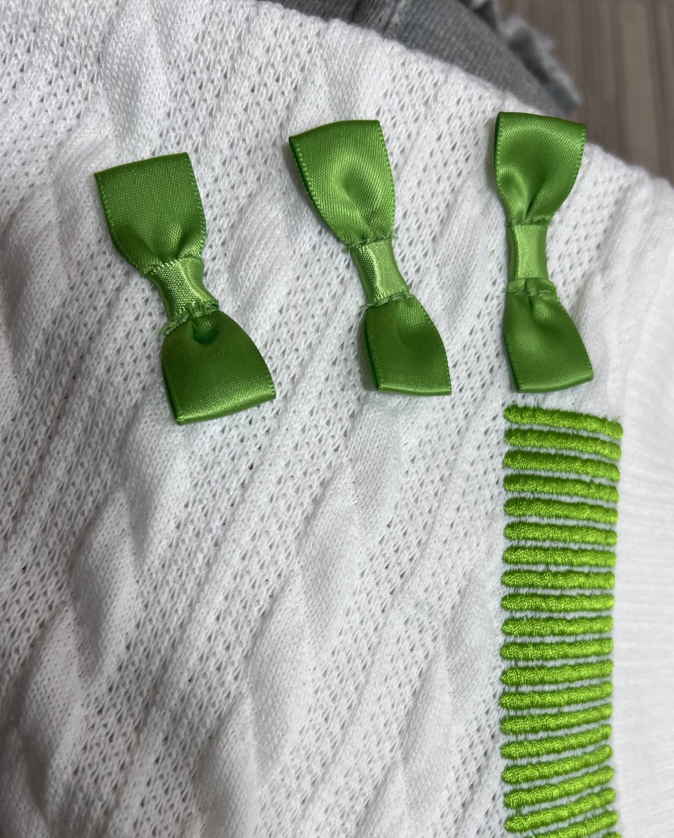 たぬわんカーディガンのサンプルきたぞん（着方は任せた） ワッペン