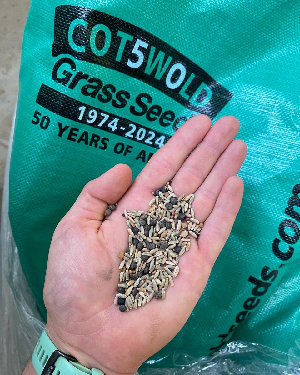 CotswoldSeeds's tweet photo. …to increase the #soiltoseed contact, required for good germination.
Plants included in this #covercrop:
Clover, vetch, rye, radish, oilseed rape, turnips, phacelia.”
3/3
#covercropuk #nitrogenfixer #soilerosion #cotswoldseeds #seedgermination #organicmatter #seedbroadcast https://t.co/8Gx89YJA7i