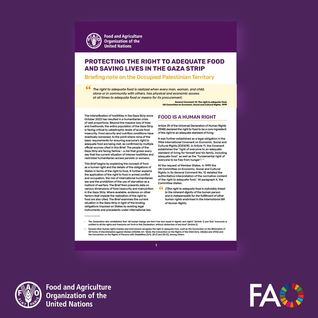 FAO Social & Economic Development (@faosocioecon) on Twitter photo The right to adequate food is tied to the right to life. In emergencies, the #RightToFood remains essential.
Learn about States' obligations during armed conflicts in our latest brief!đź“–
<a href="/FAOemergencies/">FAO in Emergencies</a> <a href="/FAOKnowledge/">FAO Knowledge</a>
More here: 👉bit.ly/4cOJQmv The right to adequate food is tied to the right to life. In emergencies, the #RightToFood remains essential.
Learn about States' obligations during armed conflicts in our latest brief!đź“–
<a href="/FAOemergencies/">FAO in Emergencies</a> <a href="/FAOKnowledge/">FAO Knowledge</a>
More here: 👉bit.ly/4cOJQmv