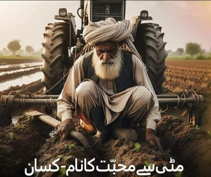 گندم کی مارکیٹ کمزور 
تل کی مارکیٹ کمزور ۔ 
دھان کی مارکیٹ کمزور 
کپاس کی مارکیٹ کمزور، کسانوں لاگت مین پچھلے سال نسبتاً 50 فیصد اضافہ کھادین بیج زرعی ادویات  مہنگی کسان تو  ڈوب گیا