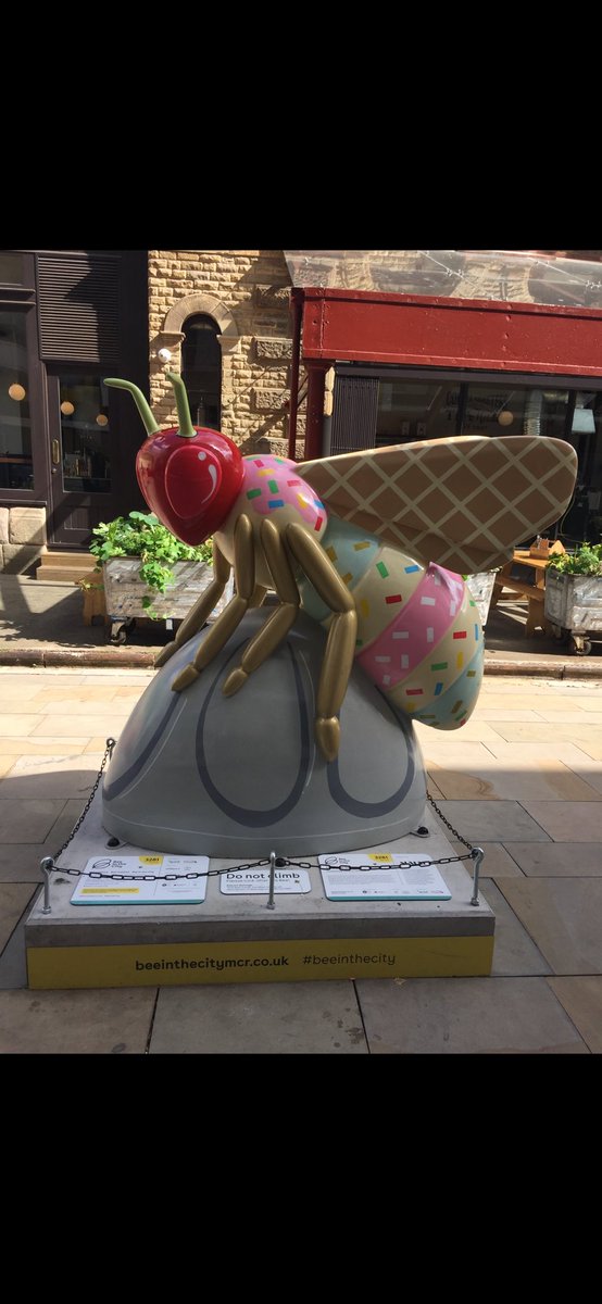 Mammabell15's tweet photo. Morning all 👋🏻 happy Hump Day 💗 miserable day here in Manchester - is the summer over 🤷🏼‍♀️? Hope your day goes well, here’s Summer Sundae bee to cheer us up 🍦 ☀️ 🌺 love her wafer wings 🥰

#wednesdayfeelings #beetrail #icecream https://t.co/3GSrD02ljD