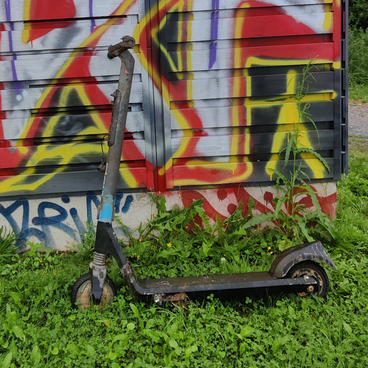 tapoykko's tweet image. Harrastin arkeologiaa. #Urbanfossil #Hämeenlinna