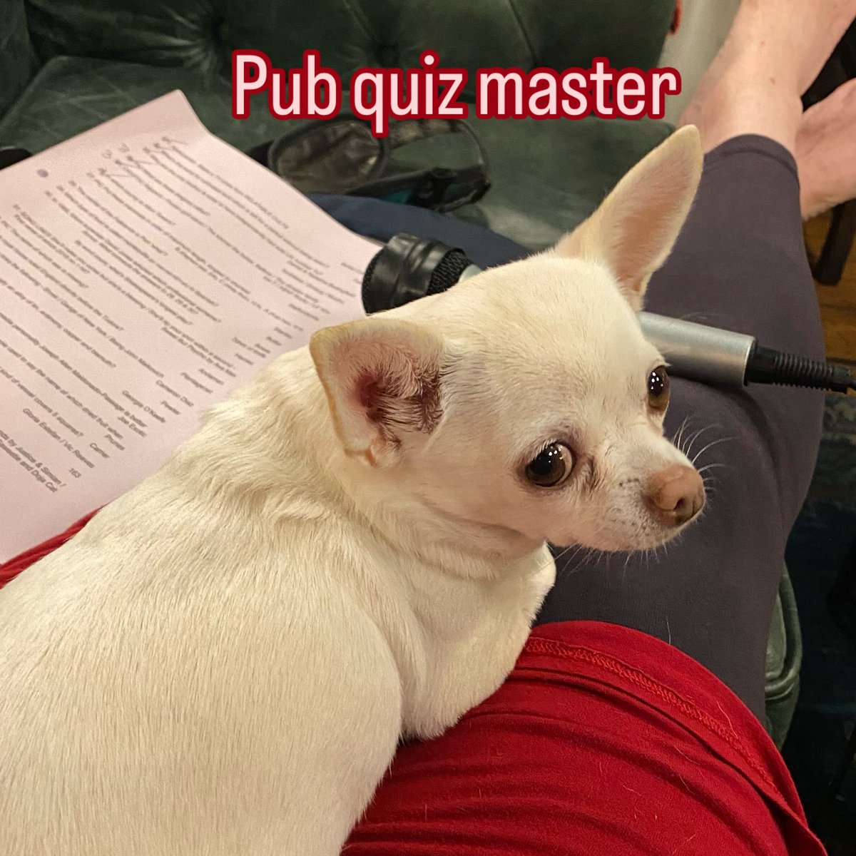 Debbie Bridge tweet media