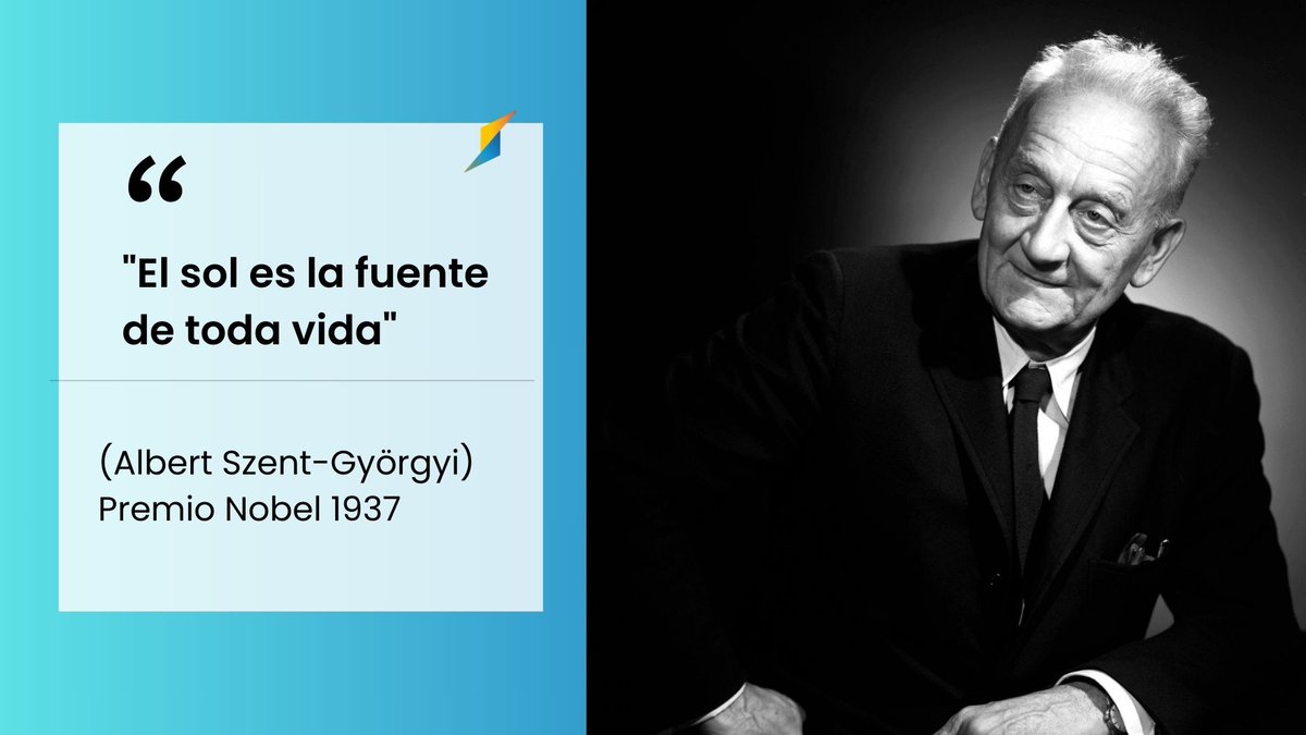 solarcycle_es tweet media