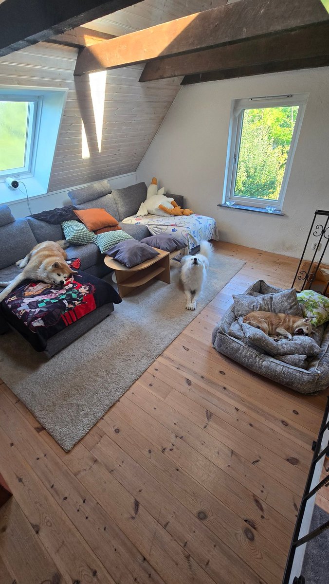 カルデア tweet media