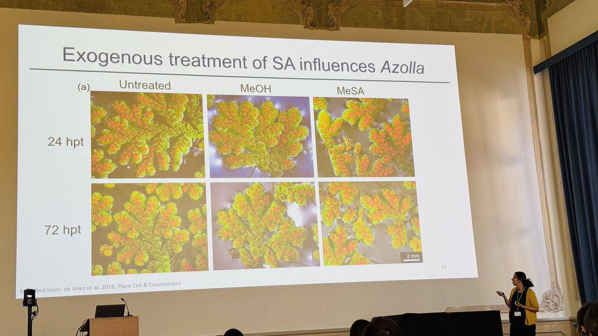 IRTG_PRoTECT (@irtg_protect) on Twitter photo Insightful talk from <a href="/Sophie_de_Vries/">Sophie de Vries</a> on the integration of defense signaling into symbiotic communication
#IPIS2024 Insightful talk from <a href="/Sophie_de_Vries/">Sophie de Vries</a> on the integration of defense signaling into symbiotic communication
#IPIS2024