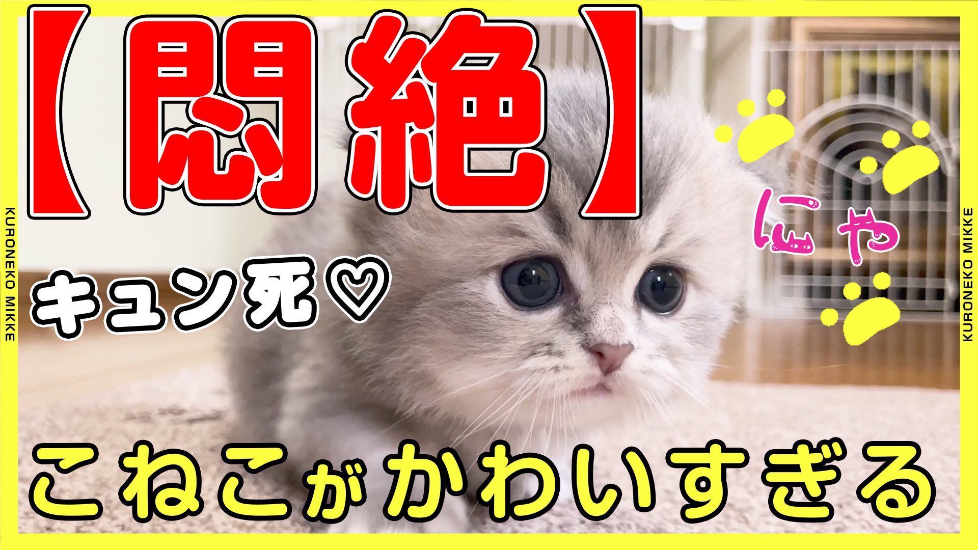 こねこ便420 – търсене / X