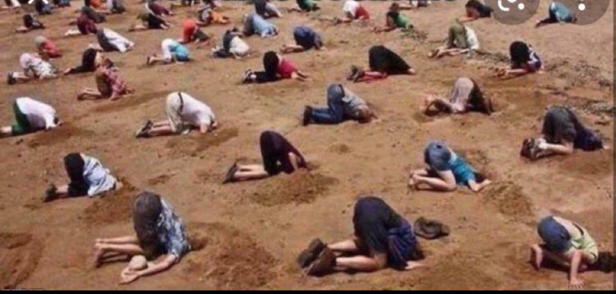 TerenceKnott1's tweet photo. #LittleEngland 

None so blind as those who will not see

@Keir_Starmer @UKLabour @labour4europe https://t.co/w5OBpEydYf
