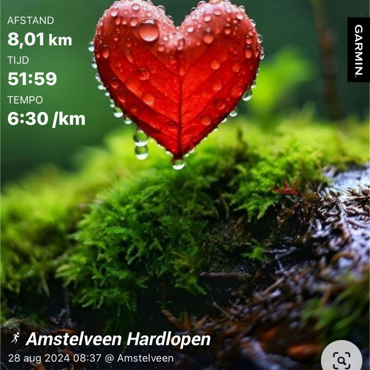 And again ⁦🏃🏾‍♀️⁦<a href="/loopmaatjes/">Loopmaatjes</a>⁩ #loverunning #getfit #improvemindset #familylove ❤️ #happybirthdayinheaven #dad91 💔🎉 ⁦<a href="/hardloopvriend/">Hardloopvriend</a>⁩ Nice Wednesday ☀️☀️☀️