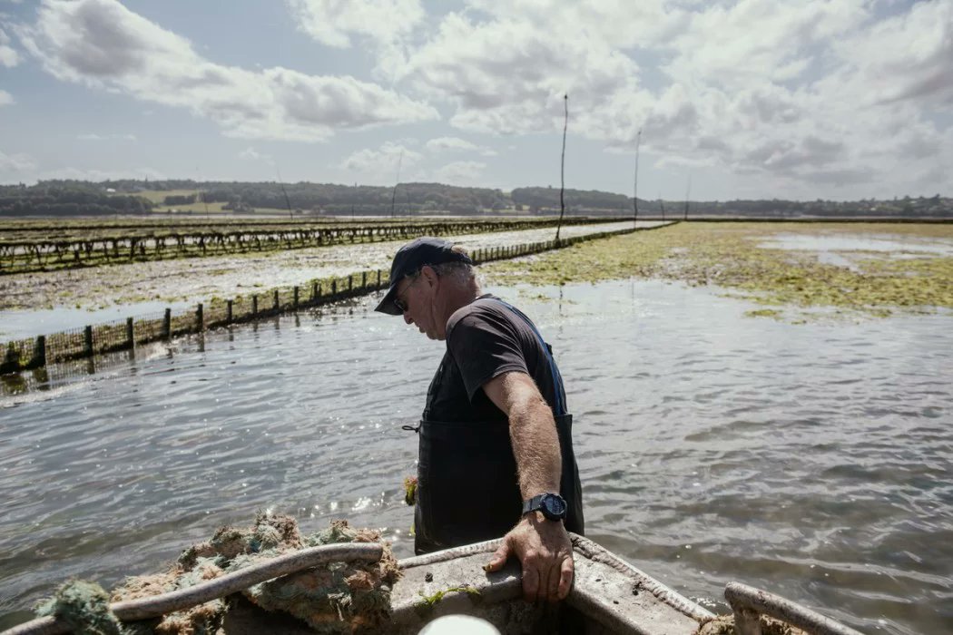 Ce matin sur Reporterre : 

« Du jamais vu » : les algues vertes étouffent les huîtres de la baie de Morlaix <a href="/VincentLucchese/">Vincent Lucchese</a> 

« Pour se débarrasser des algues vertes, il faut changer le modèle agricole »

Derrière les grands crus bordelais, la misère des saisonniers étrangers