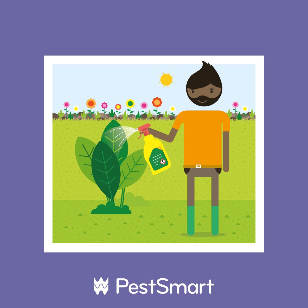 DwrCymru's tweet photo. If youโve had pesticides for some time, they could be out of date or even discontinued, which can affect their performance and be harmful to your plants and the environment ๐ฅ๐
Here's what to do if that applies to you:
https://t.co/DEmRcSdKl6
#PestSmart https://t.co/7U2Hv2XziI