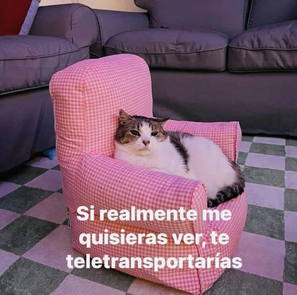 piña sin pizza (@skereunpesado) on Twitter photo 