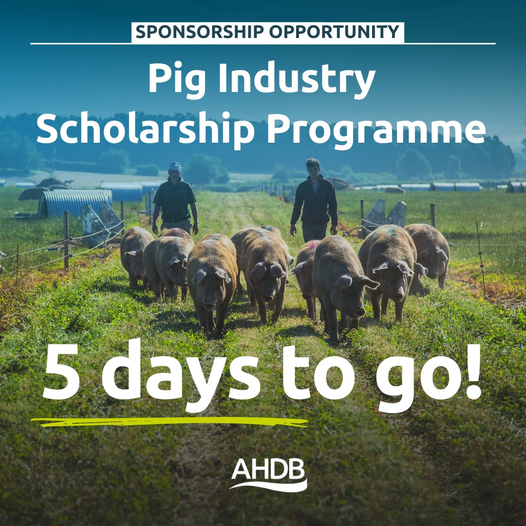 🐷Ready to shape the future of the industry?

Join PISP for priority access to placement-seeking <a href="/HarperAdamsUni/">Harper Adams University</a> students. It's a fantastic way to show that you’re a business that cares about upskilling the next-gen and attracting new talent.

Interested?👉ow.ly/Hg4M50T7GGr