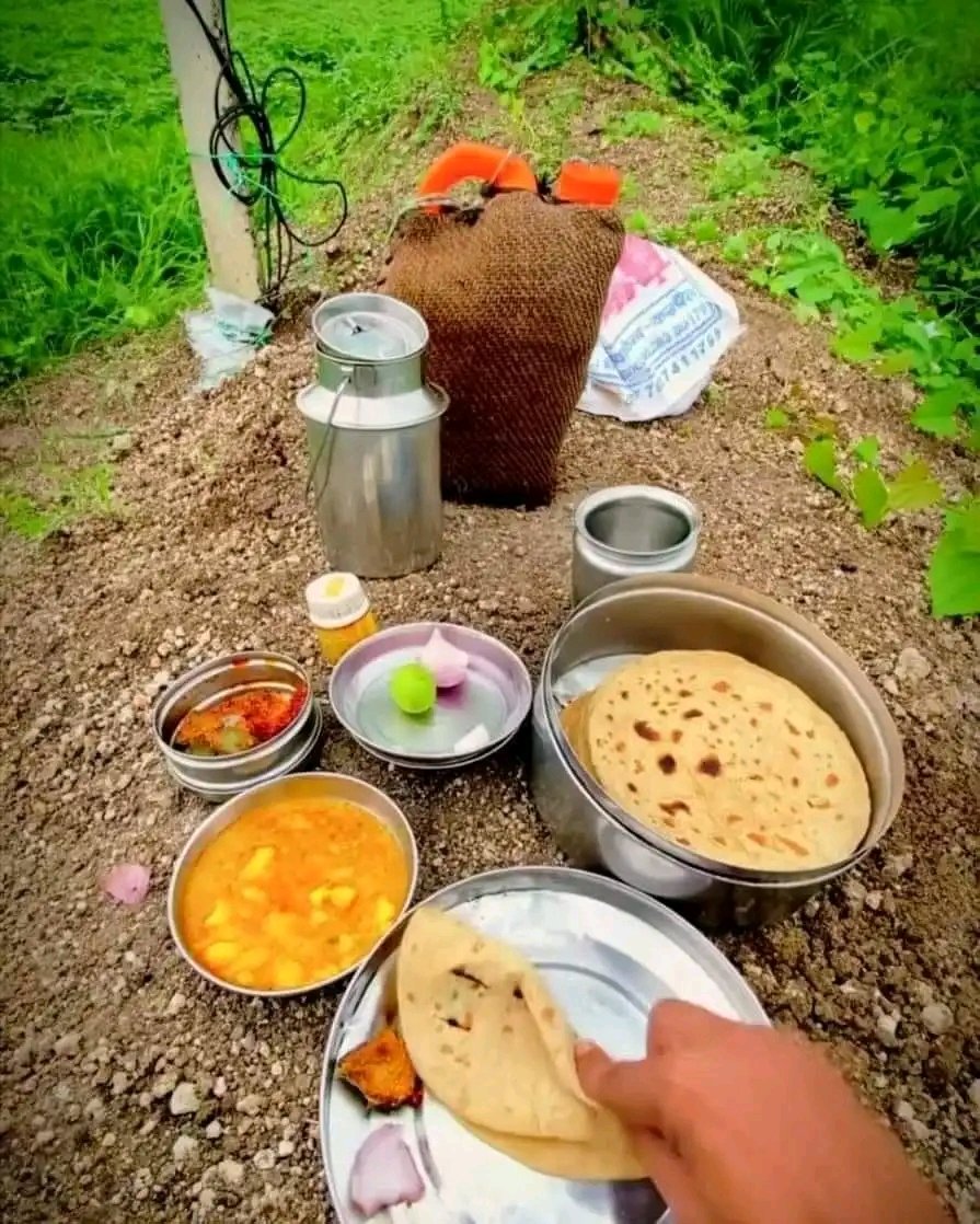 RavitaMina's tweet photo. गांव के खेतों में खाने का मजा ही अलग है,

वो आनंद शहर के Restaurant में नहीं आने वाला है 

क्या आपने भी कभी खेत में खाना खाया हैं ? https://t.co/ix3ZBoSKK2