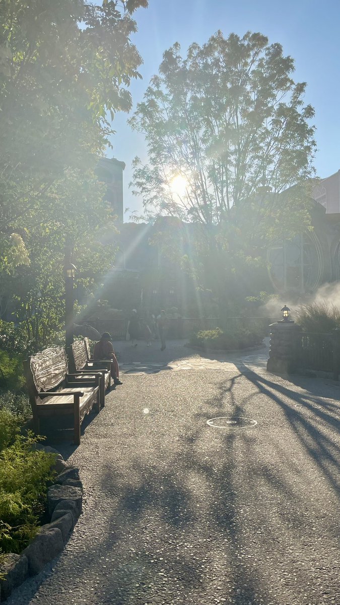 gineubalde's tweet photo. Almost the last of August — it wasn’t at all perfect but some days felt just like home ✨🙏🏼

“Moments when you were completely in the present, when neither the past nor the future mattered—” 🍃🌼🥹 https://t.co/EV8OXUBHlb