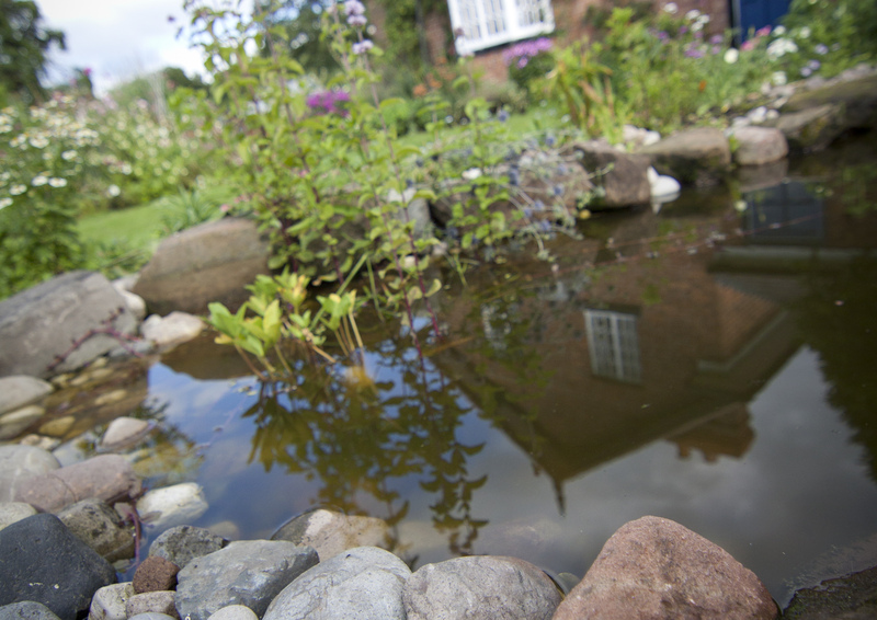 What do rivers, streams, ponds, pools and lakes mean to you in your local area? Tell us in the comments below ⤵️