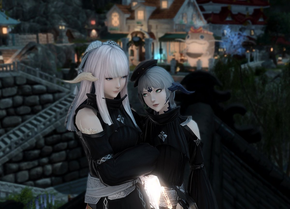 wisecatio's tweet image. 