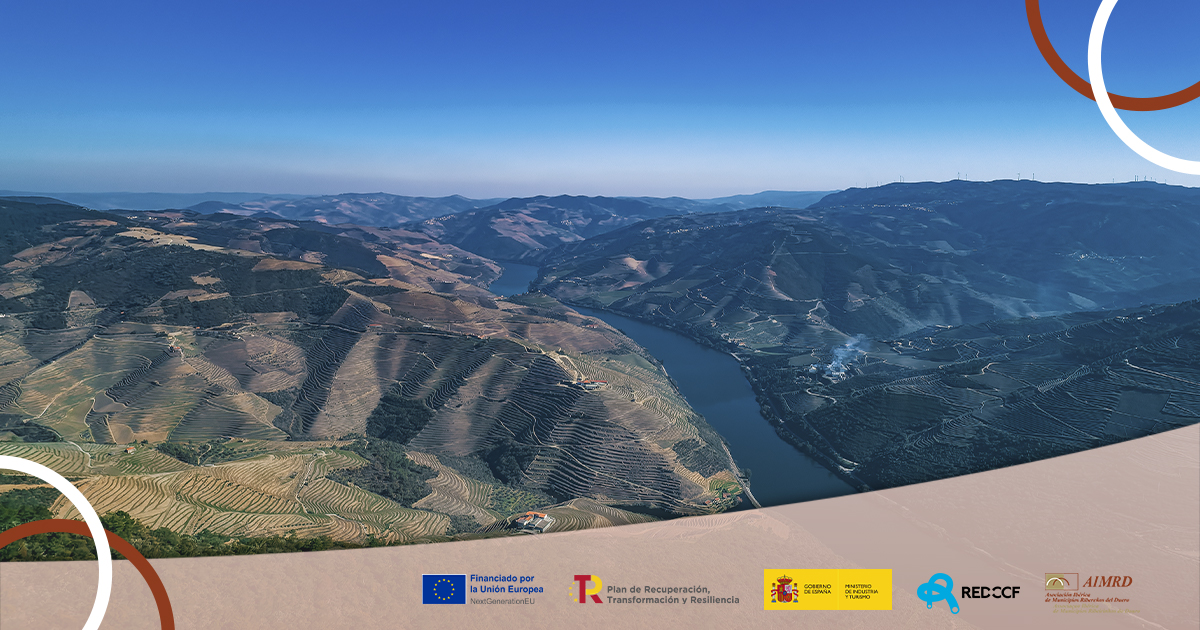 _AIMRD_'s tweet photo. Prácticas sostenibles como la creación de corredores ecológicos y la rotación de cultivos en los viñedos de la cuenca del Duero protegen y mejoran la biodiversidad local y contribuye a la producción de vinos de alta calidad.

#REDCCF #CrucerosCosterosFluviales #AIMRD https://t.co/I14hJ9Uz6X