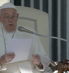 Francisco: "El Señor está con los migrantes, y no con quien los rechaza": "Hay que decirlo claramente: hay quienes trabajan sistemáticamente por todos los medios para repeler a los emigrantes. [Para rechazar a los emigrantes, repitió]. Y esto, cuando se… dlvr.it/TCStWR