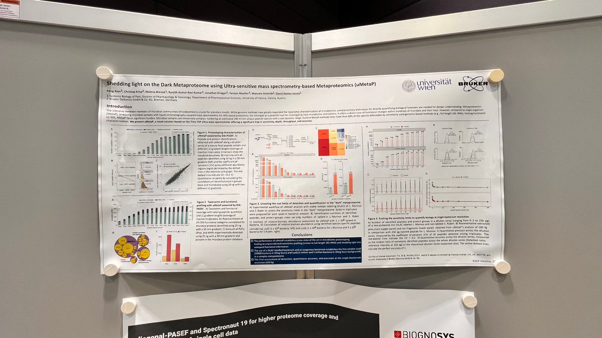 David Gomez Varela PhD tweet media