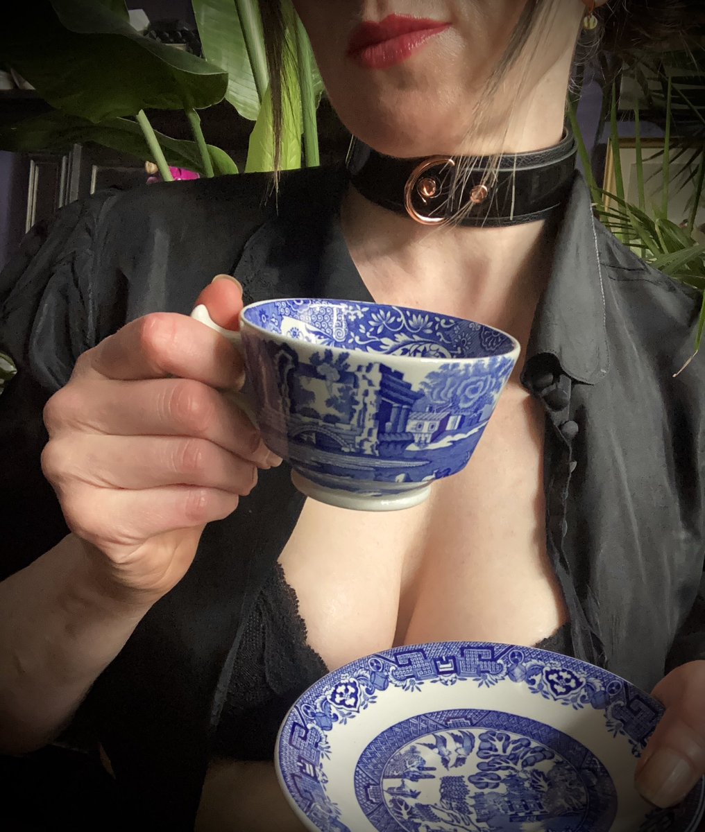 JusticePunishes's tweet photo. I am very particular about everything I do. 
In the morning I like Darjeeling tea served in Spode china, by an impeccably trained servant. 
Protocol is everything. Ritual, manners and service are the cornerstones of civilisation.💙
#highprotocol
#Servicesub
#ServiceSubmission https://t.co/p1HRYNnTsH