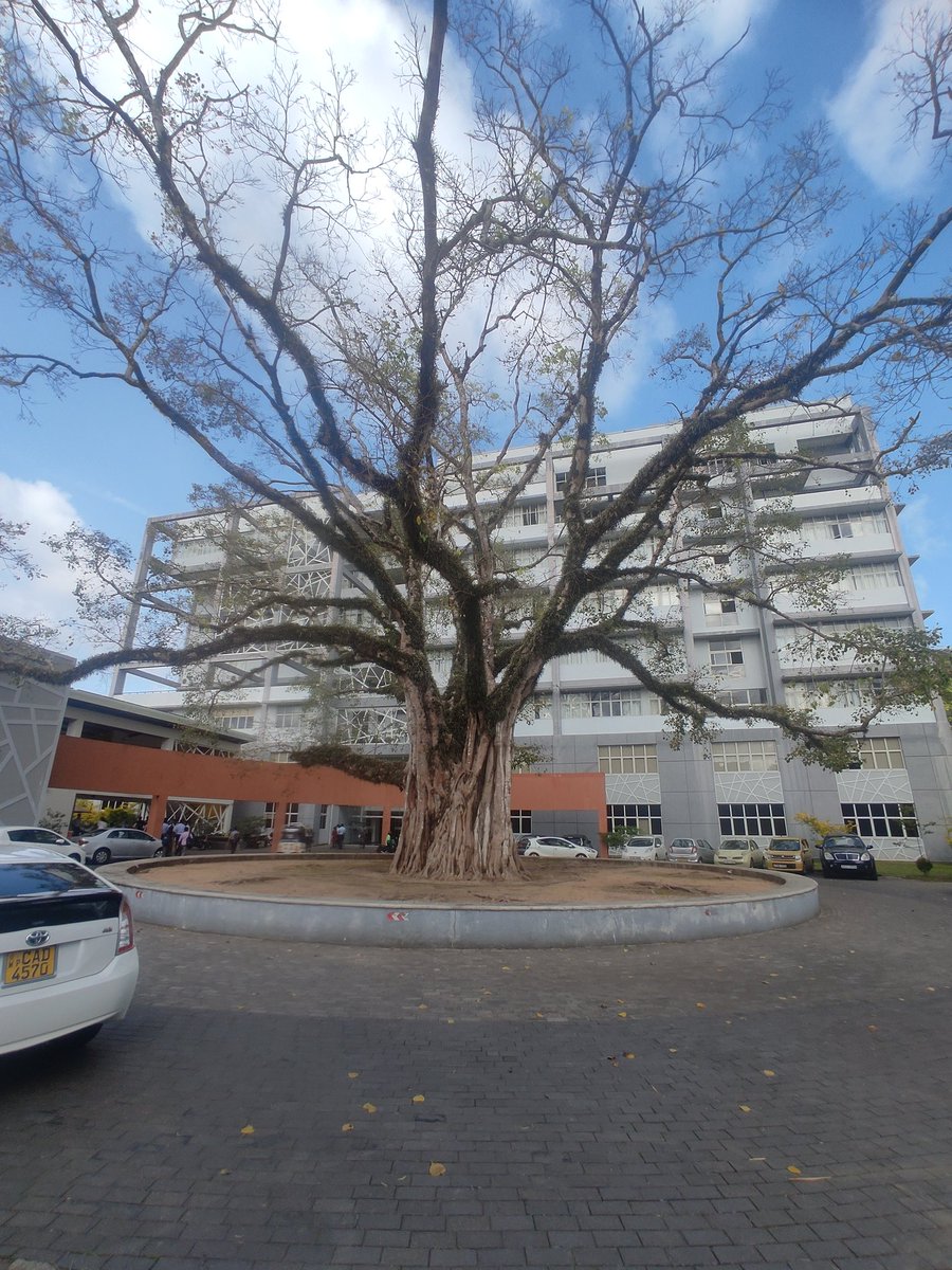 shrana7948's tweet photo. Grateful for the opportunity to visit the Family Practice Center, Pulmonary Rehab Center at and the Community Health Clinics in Borelesgamuwa as part of the @RESPIREGlobal ASM meeting. Insightful on-site presentations and discussions on advancing healthcare practices.
#RESPIREASM https://t.co/t0b7ah8sQZ