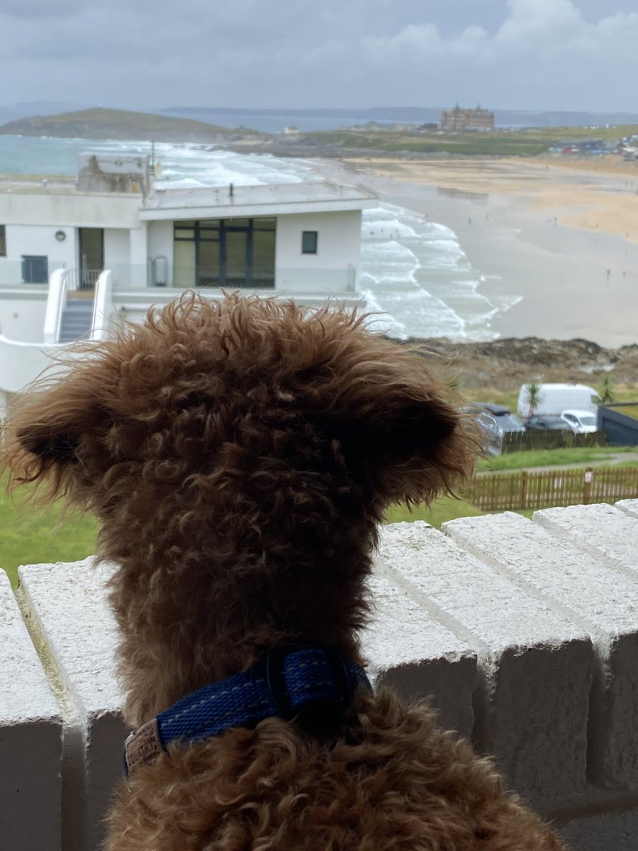 ExploraNeedham's tweet image. 