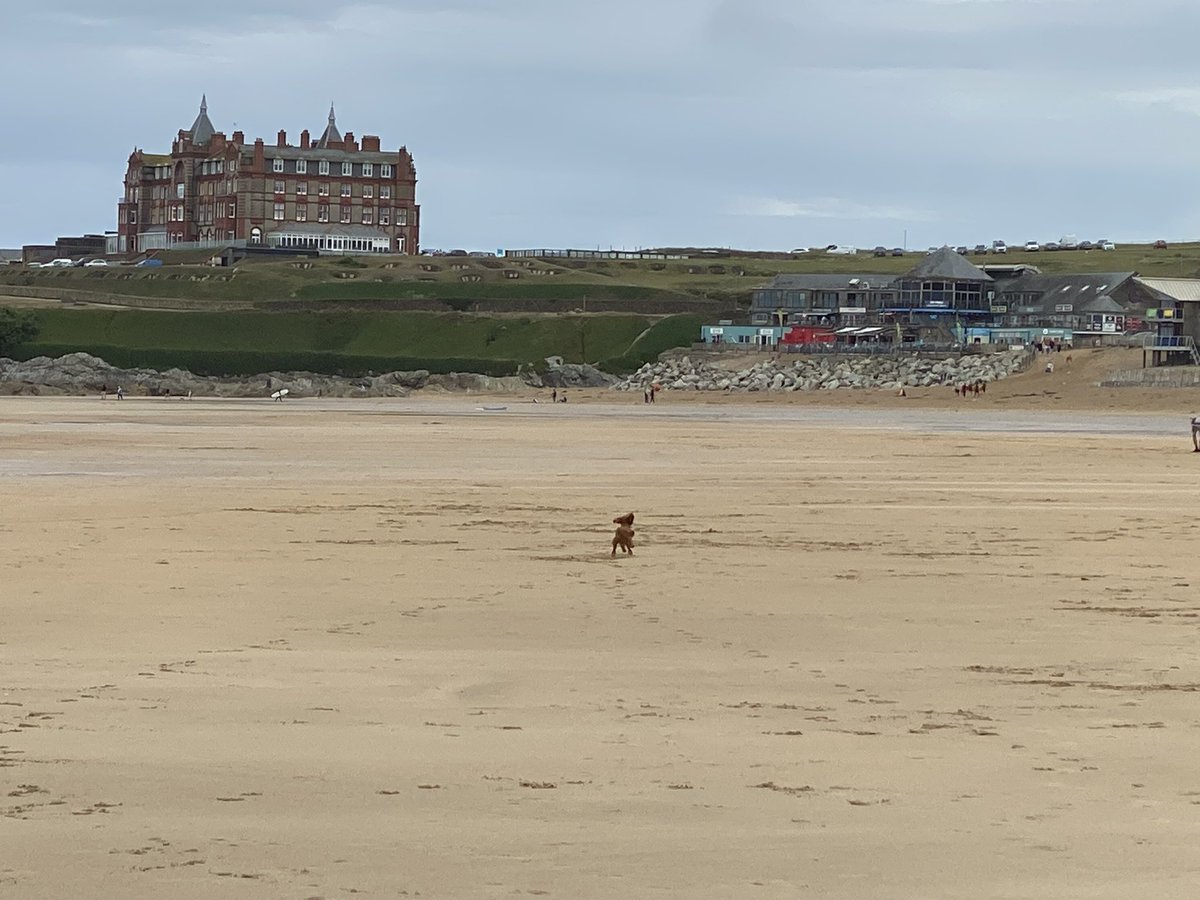 ExploraNeedham's tweet image. 