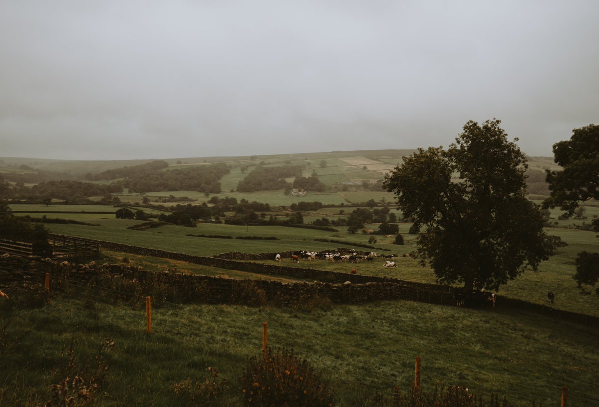 Space Shark Weddings (@spacesharkwed) on Twitter photo A rainy day at <a href="/danbycastle/">Danby Castle</a> last year and I captured this moody landscape over the countryside! A rainy day at <a href="/danbycastle/">Danby Castle</a> last year and I captured this moody landscape over the countryside!