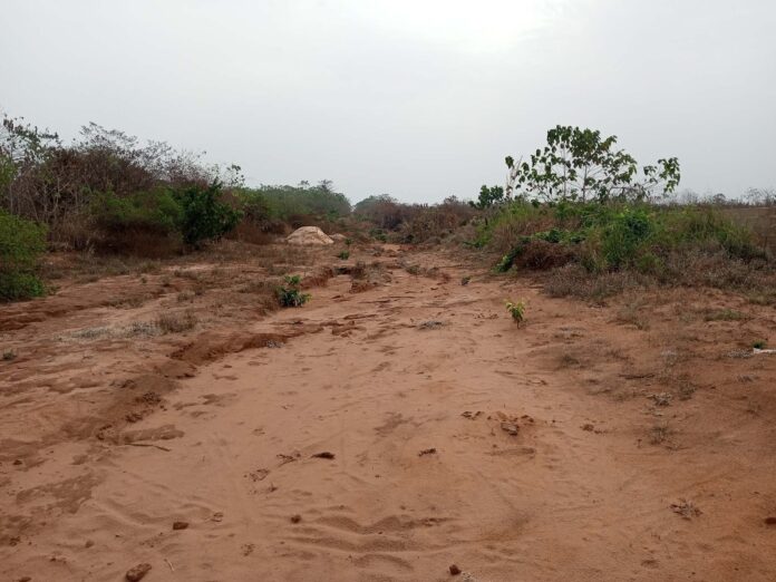TheICIR's tweet photo. 🚨 Urbanization threatens Anambra's forest reserves!
Decades ago, they were a haven for flora & fauna, but now they're under severe threat.
Read the report: (https://t.co/j5se2sc3qO)
#SaveAnambraForests #UrbanisationVsConservation
#DefendTheEnvironment #ICIREnvironment