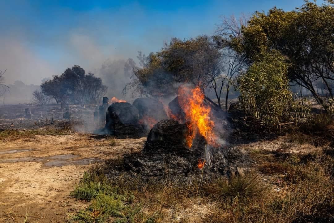 BFCyprus tweet media