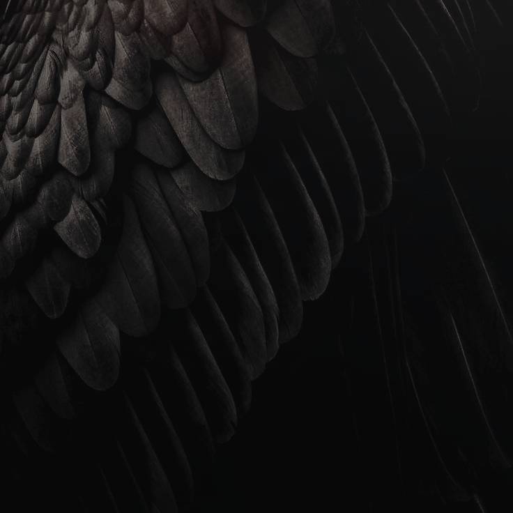 CERRADO. tweet media